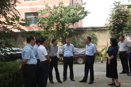 副市长冯能斌到泰山区督导调研第三代美国白蛾防控工作