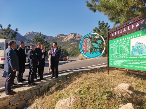 副市长、市副总林长冯能斌到新泰莲花山区域巡查林长制工作